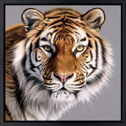 The Patriarch by Darryn Eggleton - Framed Box Canvas